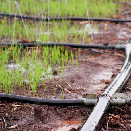 Main Hose Connect Spray Hose